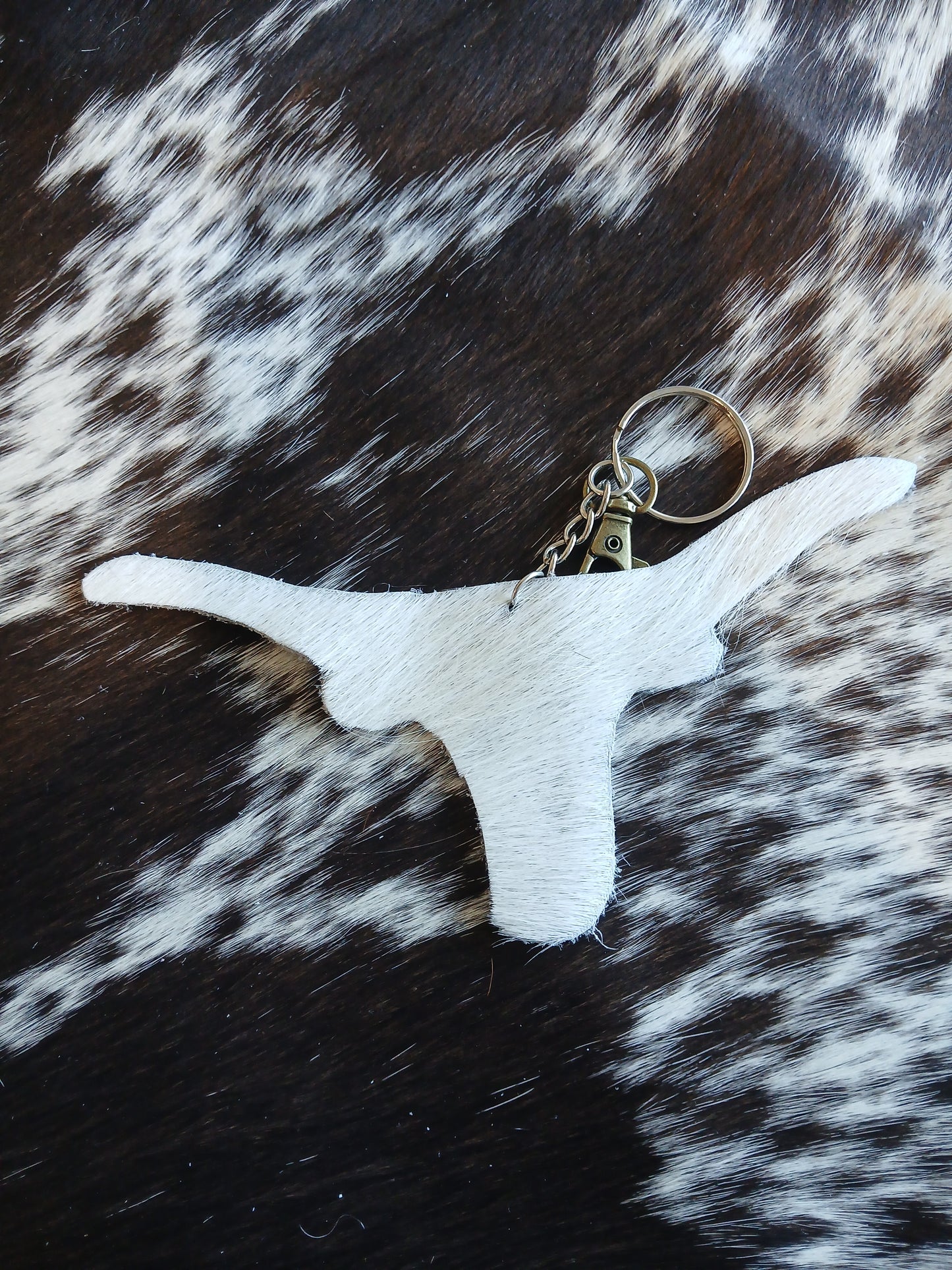 Long horns #10