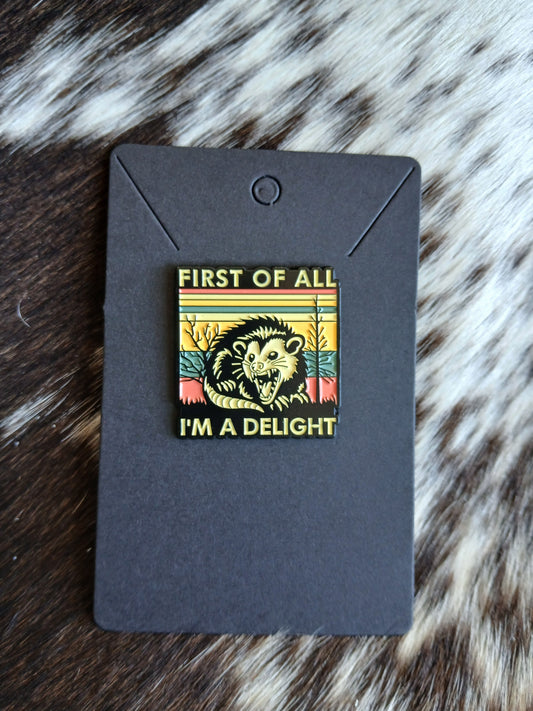 Hat pin #19
