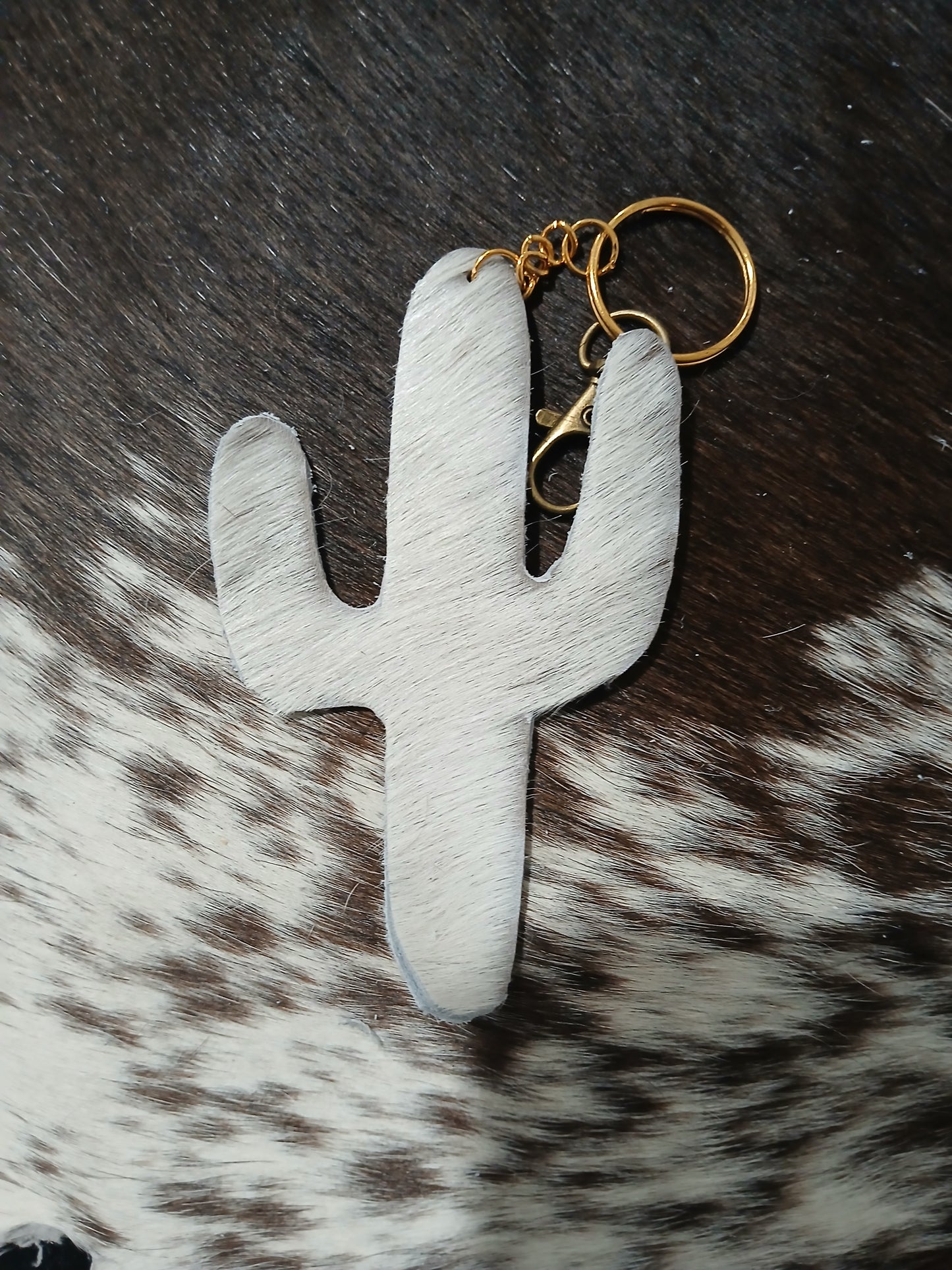 Cactus #4