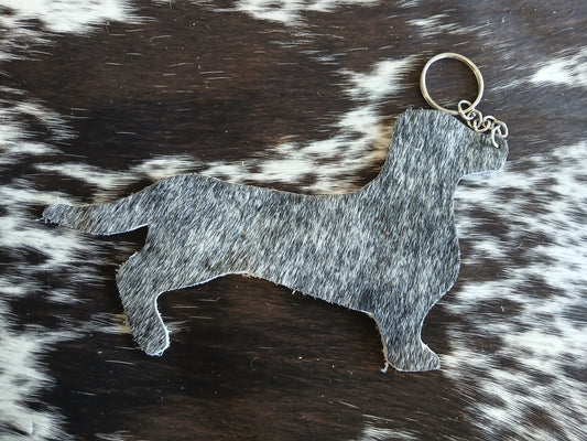 Dachshund #10