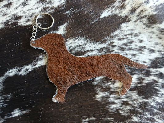 Dachshund #22