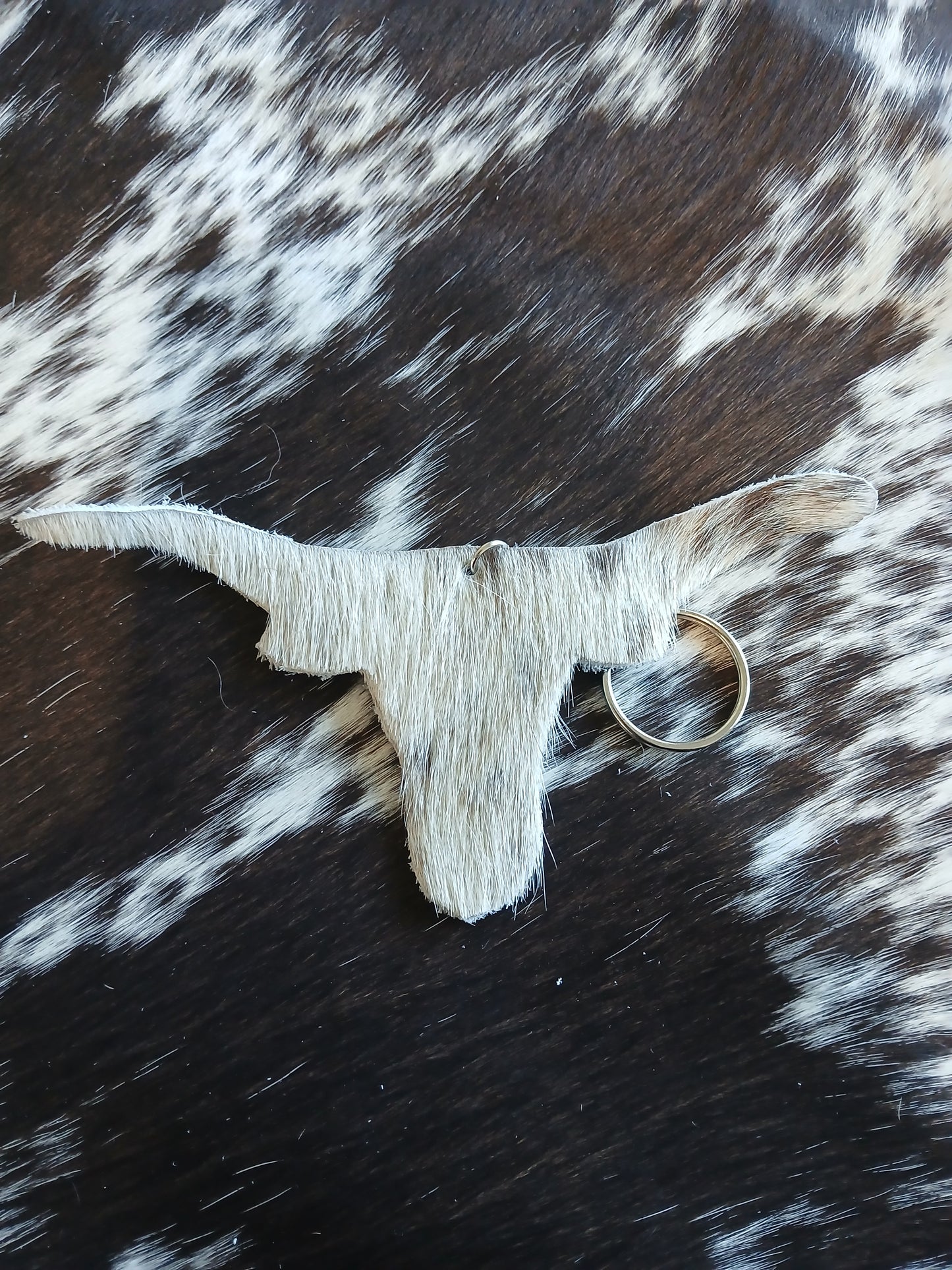Long horns #3