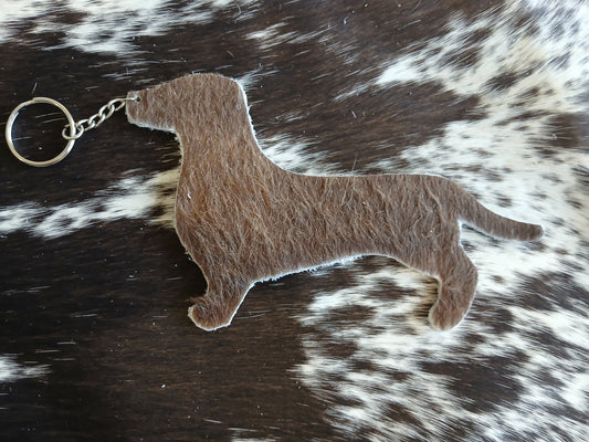 Dachshund #4