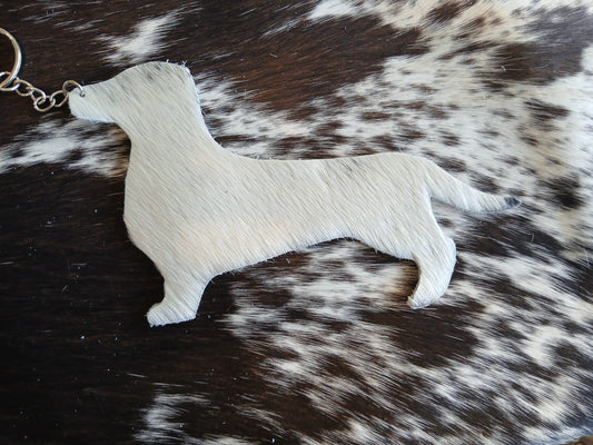 Dachshund #6