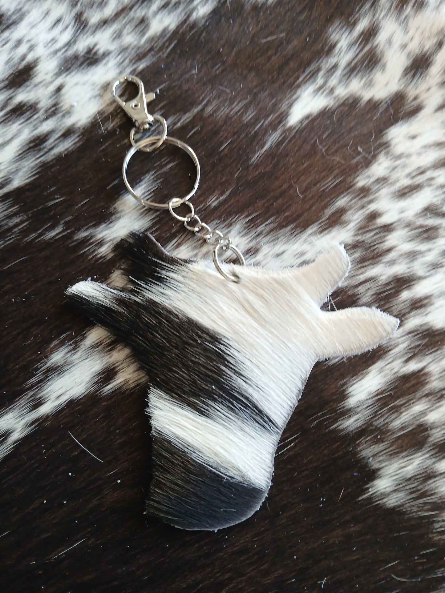 Cowhead with horns #3
