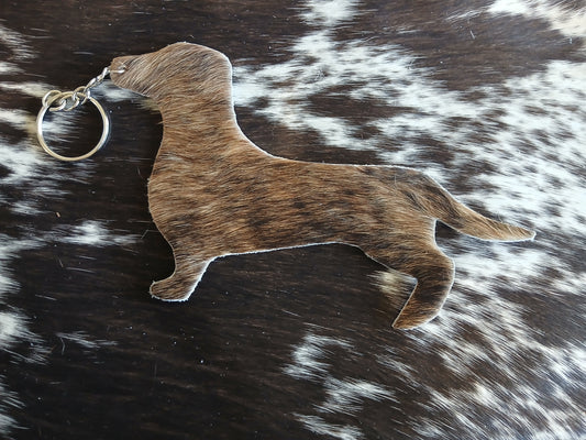 Dachshund #1