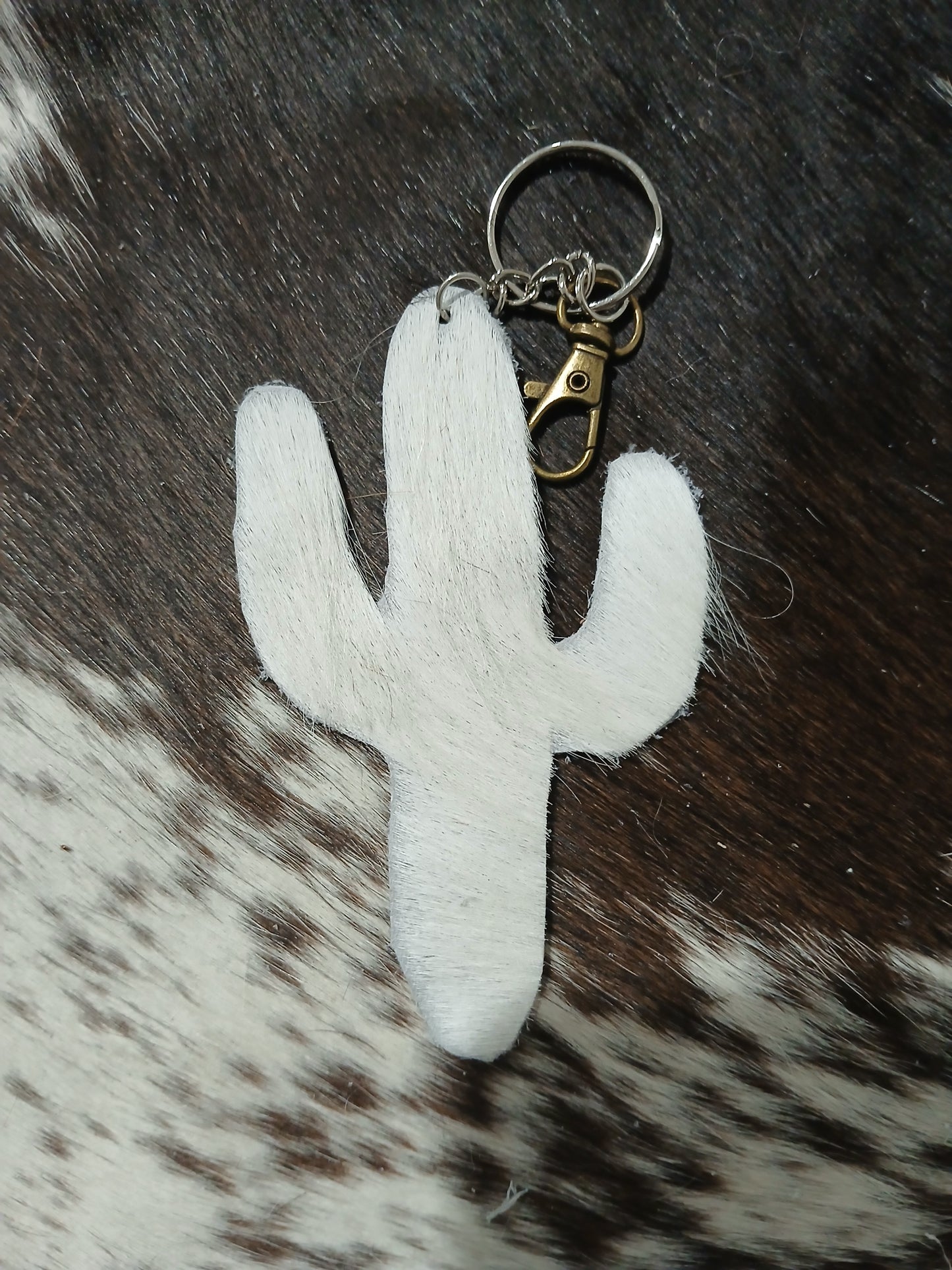 Cactus #23