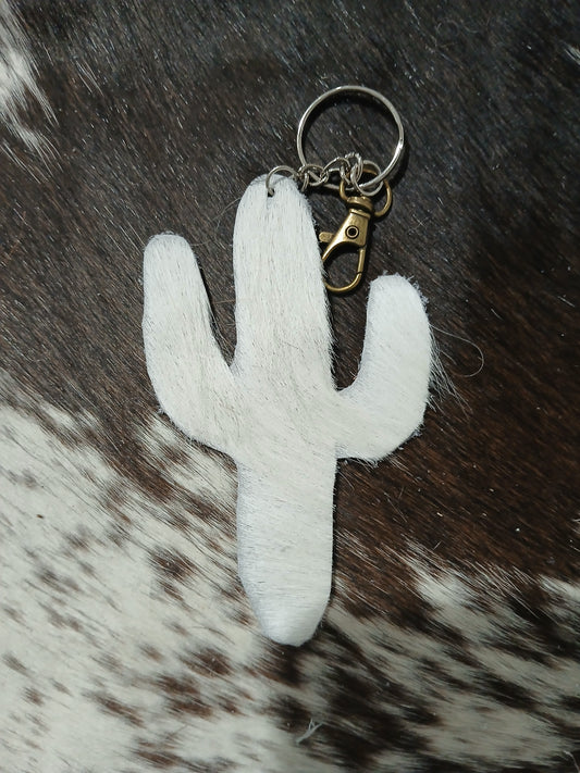 Cactus #23