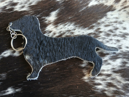 Dachshund #19