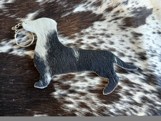 Dachshund #5