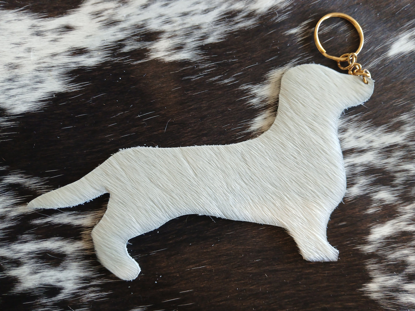 Dachshund #14