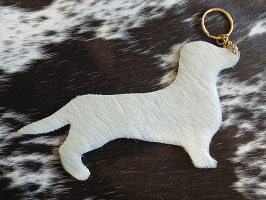 Dachshund #14