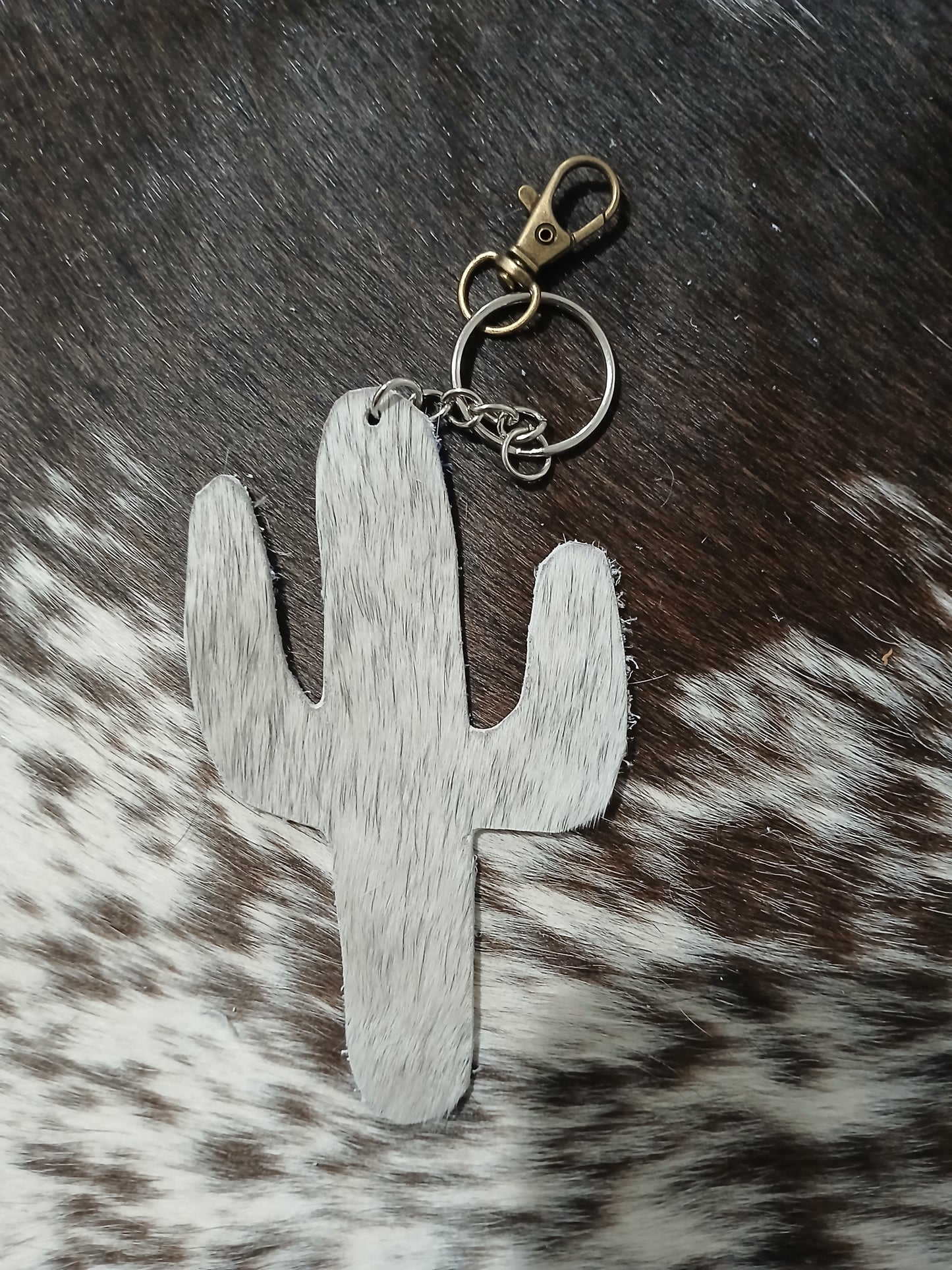 Cactus #2