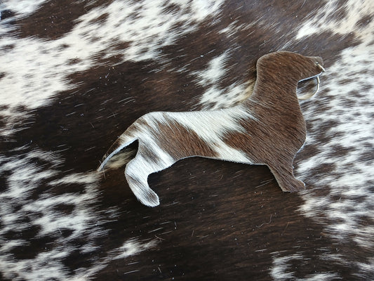 Dachshund #25