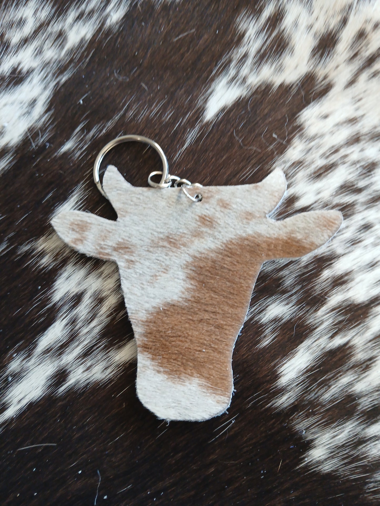 Cowhead with horns #5