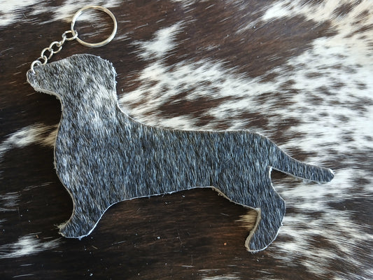 Dachshund #17