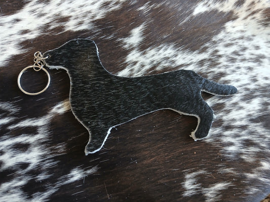 Dachshund #21
