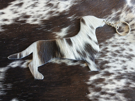 Dachshund #26