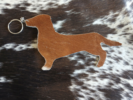 Dachshund #8