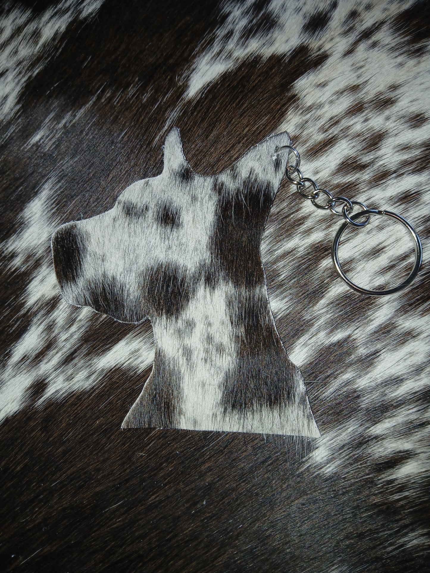 Great dane #1