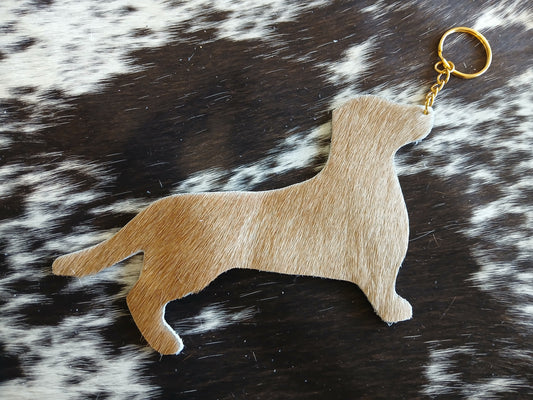 Dachshund #24