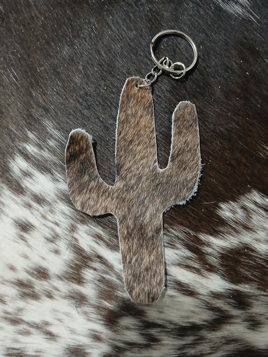 Cactus #1