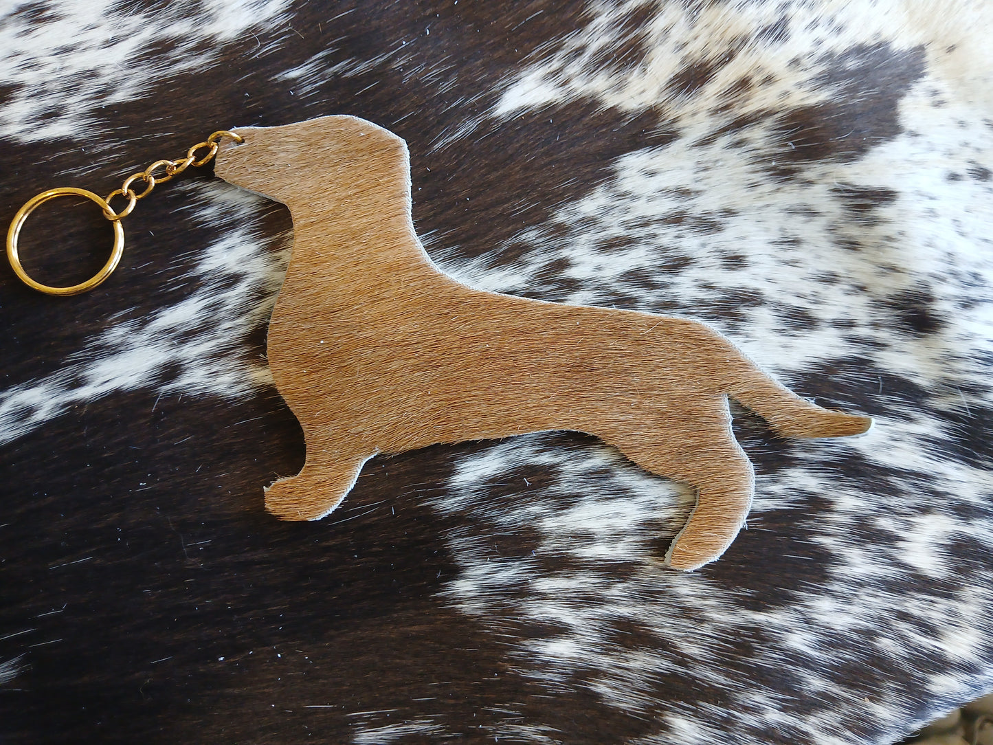 Dachshund $9