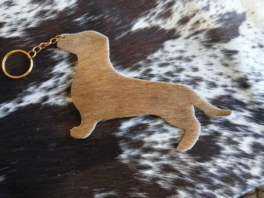 Dachshund $9