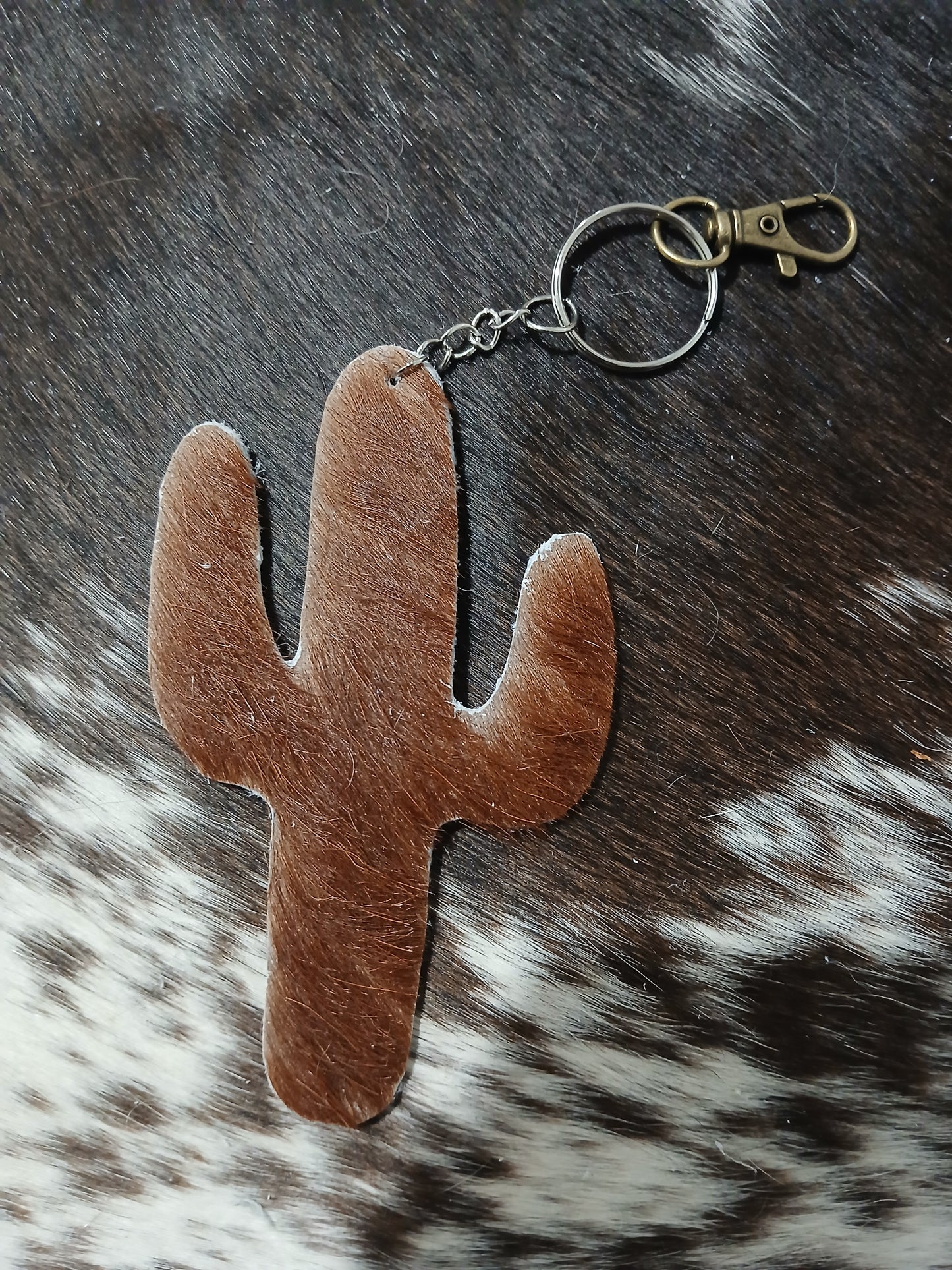 Cactus #17