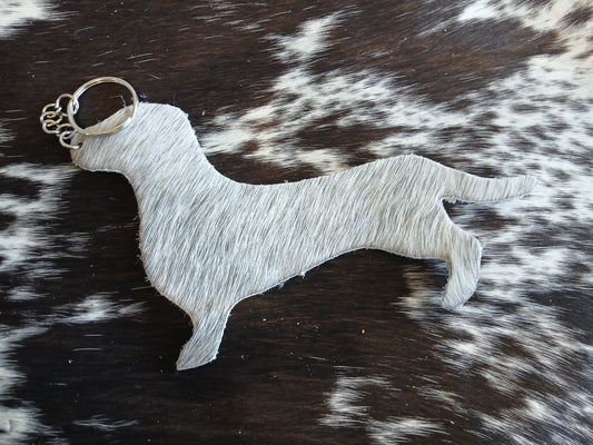 Dachshund #15