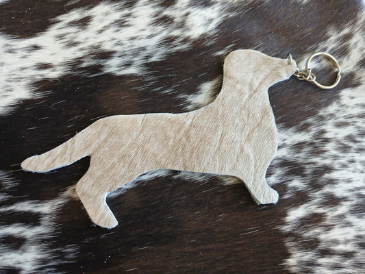 Dachshund #13