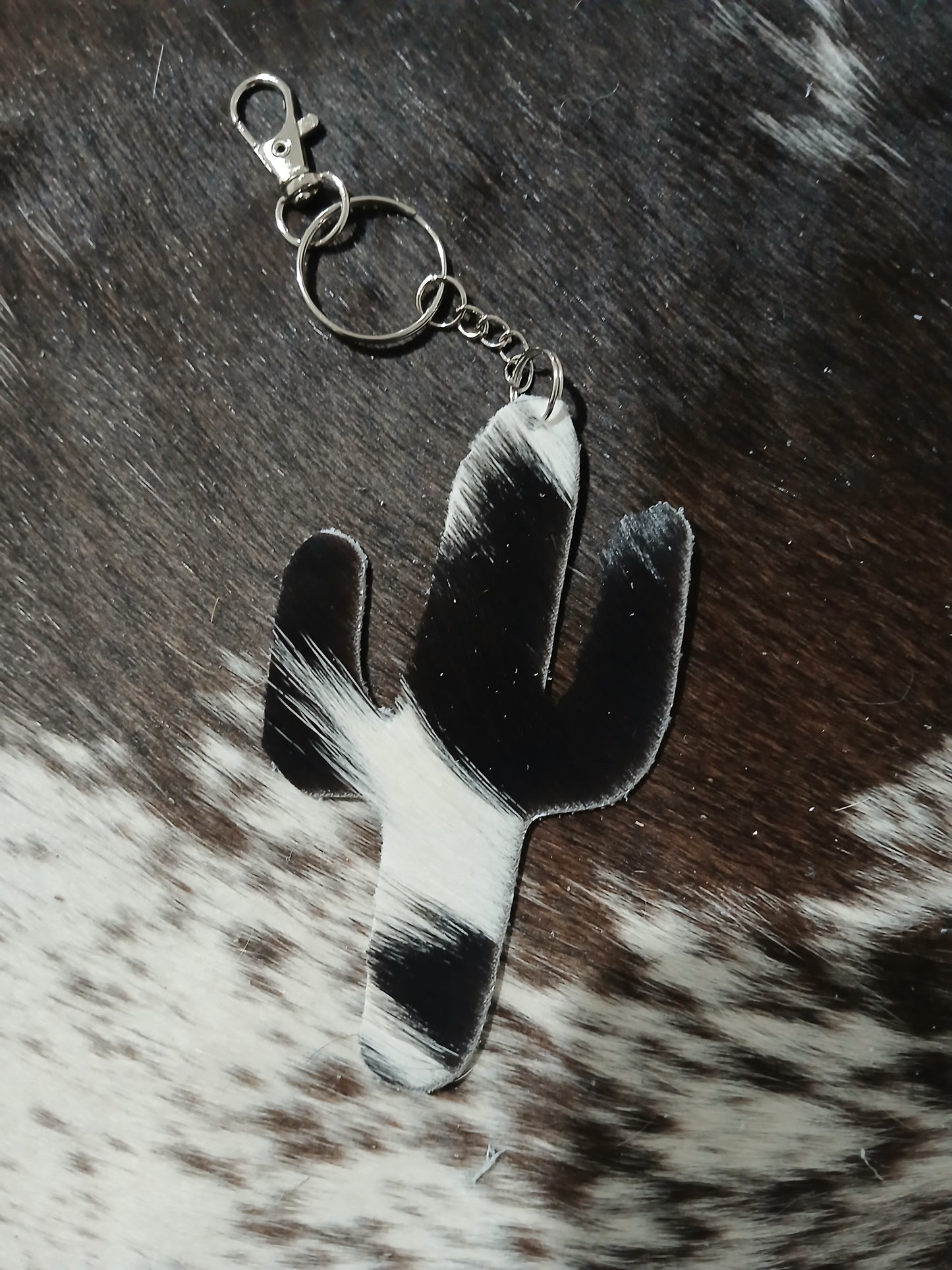Cactus #26
