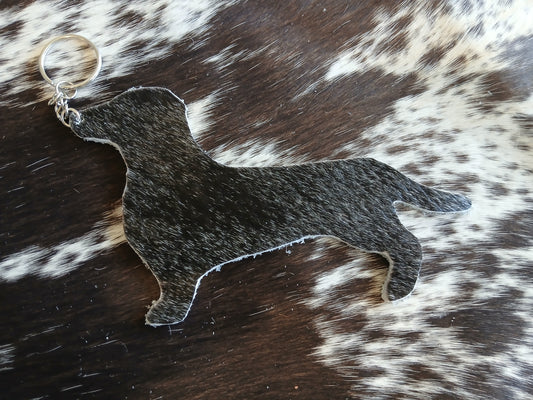 Dachshund #23