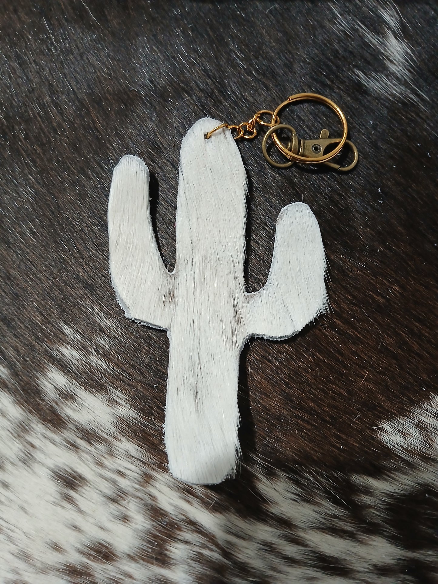 Cactus #11