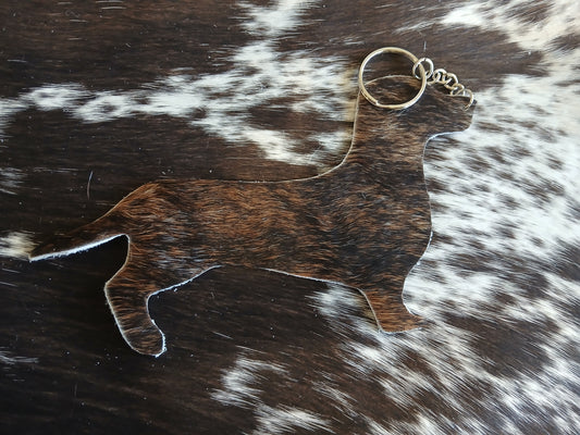 Dachshund #2