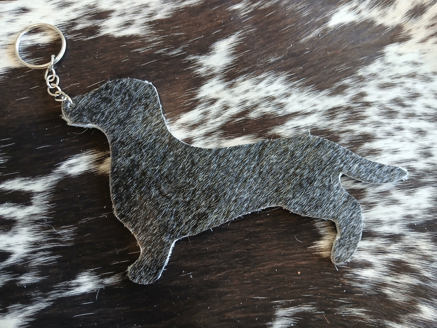 Dachshund #20