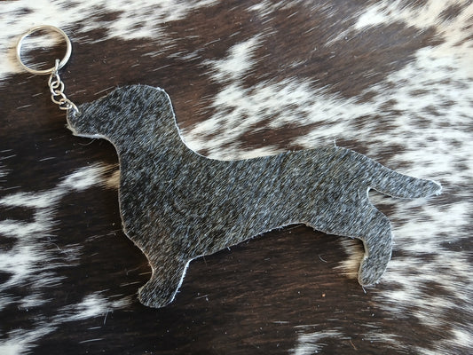 Dachshund #20